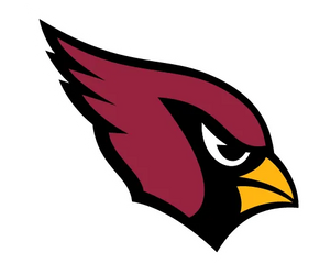 Collection image for: ARIZONA CARDINALS