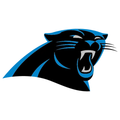 Collection image for: CAROLINA PANTHERS