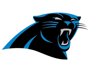 Collection image for: CAROLINA PANTHERS