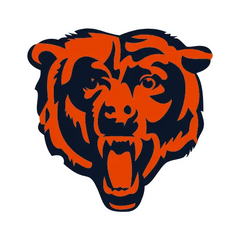 Collection image for: CHICAGO BEARS