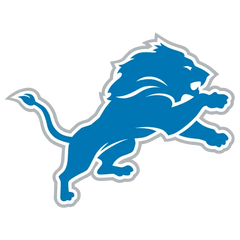 Collection image for: DETROIT LIONS