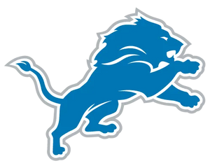 Collection image for: DETROIT LIONS