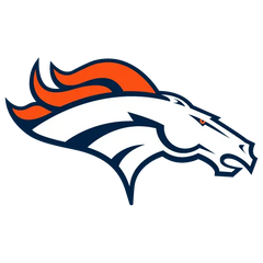 Collection image for: DENVER BRONCOS