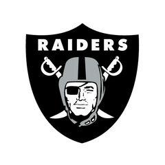 Collection image for: LAS VEGAS RAIDERS