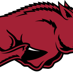 Collection image for: Arkansas Razorbacks