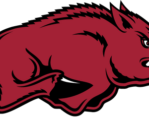 Collection image for: Arkansas Razorbacks