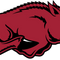 Arkansas Razorbacks