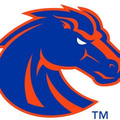 Collection image for: Boise State Broncos