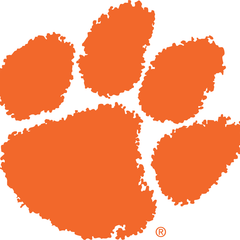 Collection image for: Clemson Tigers