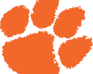 Collection image for: Clemson Tigers
