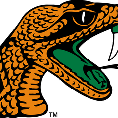 Collection image for: Florida A&M Rattlers