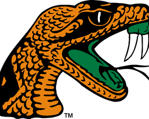 Collection image for: Florida A&M Rattlers