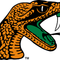 Florida A&M Rattlers