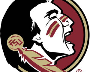 Collection image for: Florida State Seminoles