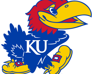 Collection image for: Kansas Jayhawks