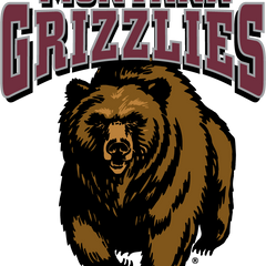 Collection image for: Montana Grizzlies