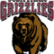 Montana Grizzlies
