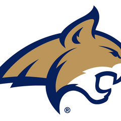 Collection image for: Montana State Bobcats