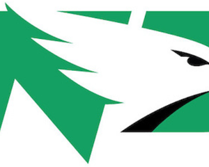 Collection image for: North Dakota Fighting Hawks