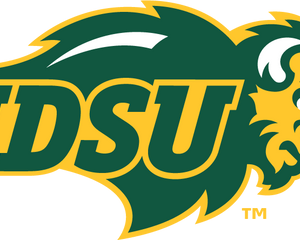 Collection image for: North Dakota State Bison