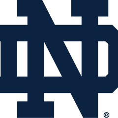 Collection image for: Notre Dame Fighting Irish