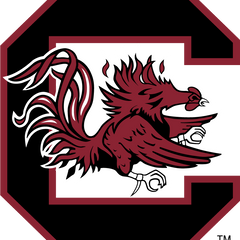 Collection image for: South Carolina Gamecocks