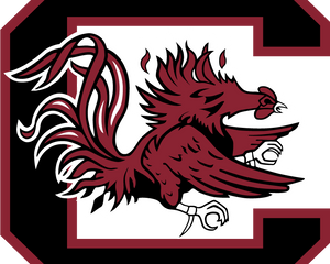 Collection image for: South Carolina Gamecocks