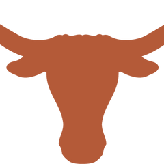 Collection image for: Texas Longhorns