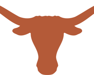 Collection image for: Texas Longhorns