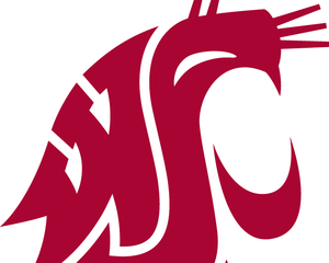 Collection image for: Washington State Cougars