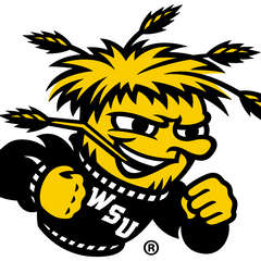 Collection image for: Wichita State Shockers