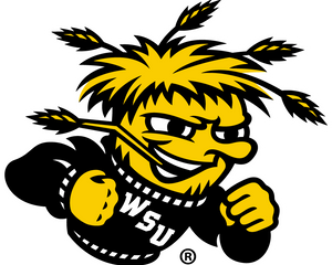 Collection image for: Wichita State Shockers