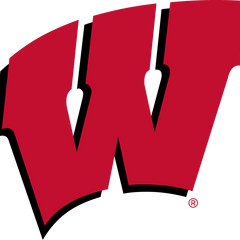 Collection image for: Wisconsin Badgers