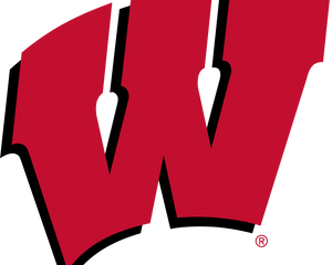 Collection image for: Wisconsin Badgers