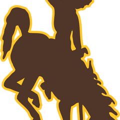 Collection image for: Wyoming Cowboys