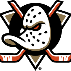 Collection image for: Anaheim Ducks