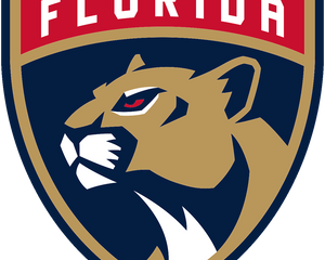 Collection image for: Florida Panthers