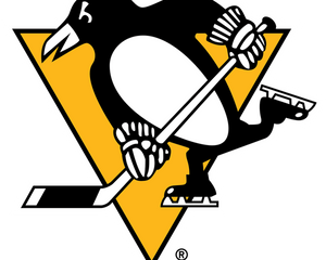 Collection image for: Pittsburgh Penguins
