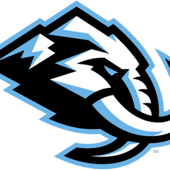 Collection image for: Utah Mammoth