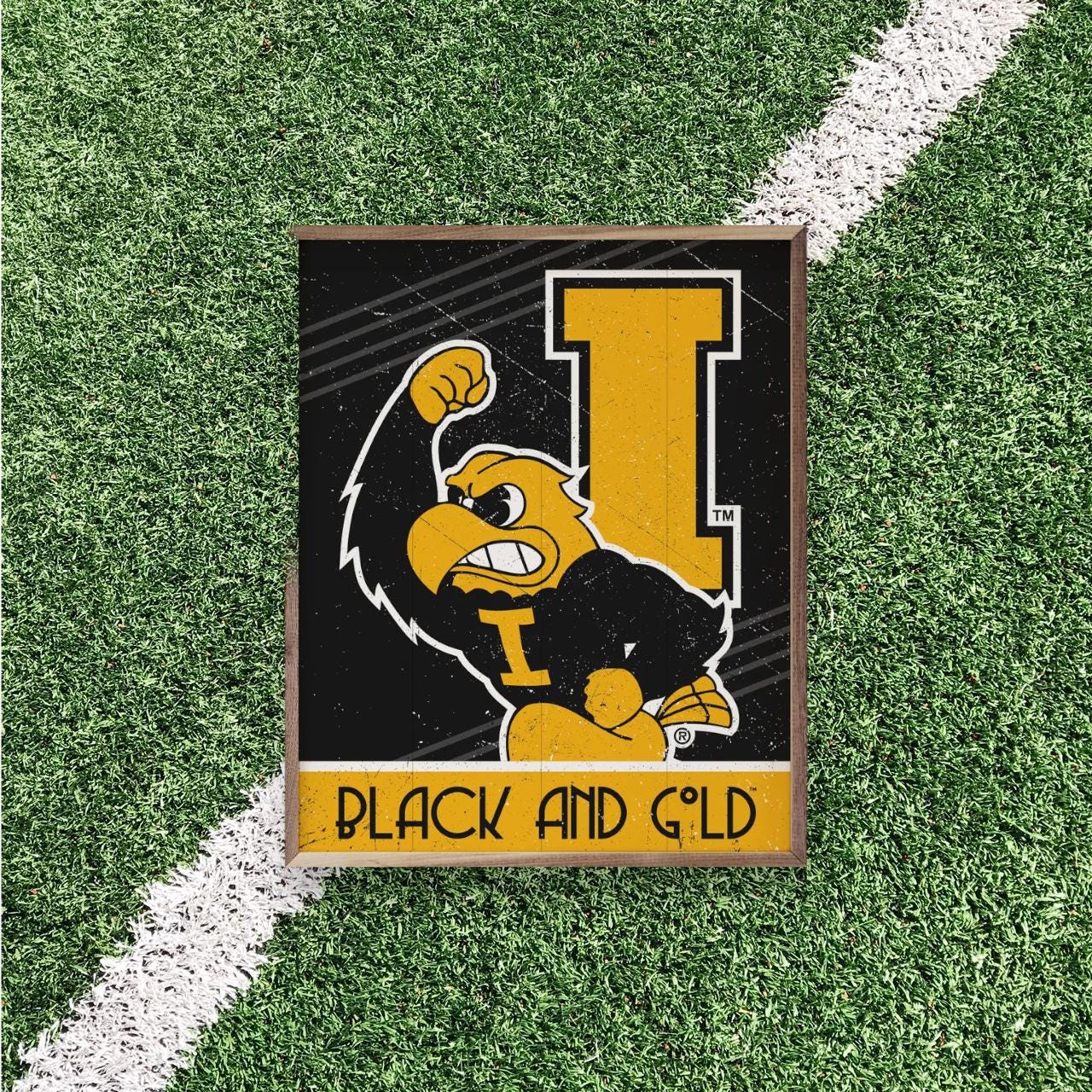 Iowa Hawkeyes Artwork | Iowa Hawkeyes Wall Art (Officially Licensed)