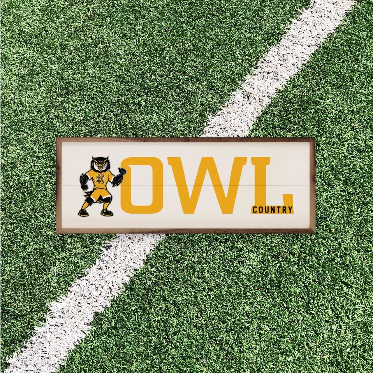 Kennesaw State Owls Artwork | kennesaw State Owls Wall Art (Officially Licensed) Rectangle