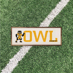 Load image into Gallery viewer, Kennesaw State Owls Artwork | kennesaw State Owls Wall Art (Officially Licensed) Rectangle
