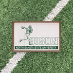 Load image into Gallery viewer, North Dakota State Bison Artwork | North Dakota State Bison Wall Art (Officially Licensed) Block
