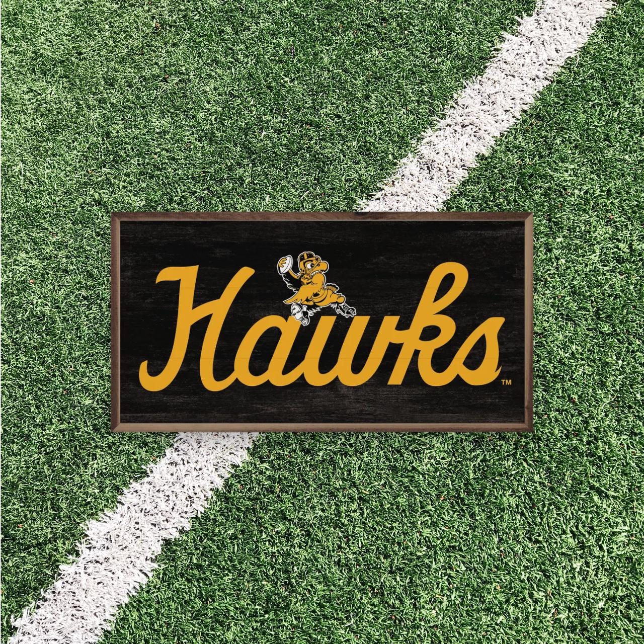 Iowa Hawkeyes Artwork | Iowa Hawkeyes Wall Art (Officially Licensed)