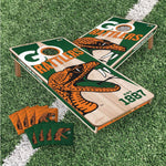 Load image into Gallery viewer, Florida A&amp;M Rattlers Cornhole Boards 2x4 (Officially Licensed)
