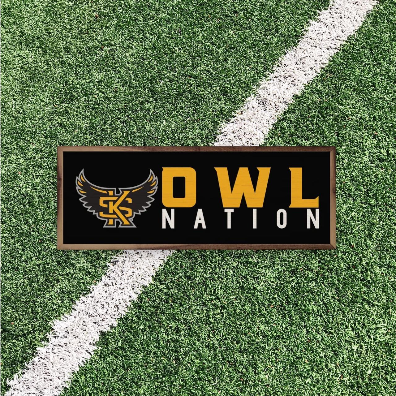 Kennesaw State Owls Artwork | kennesaw State Owls Wall Art (Officially Licensed) Rectangle