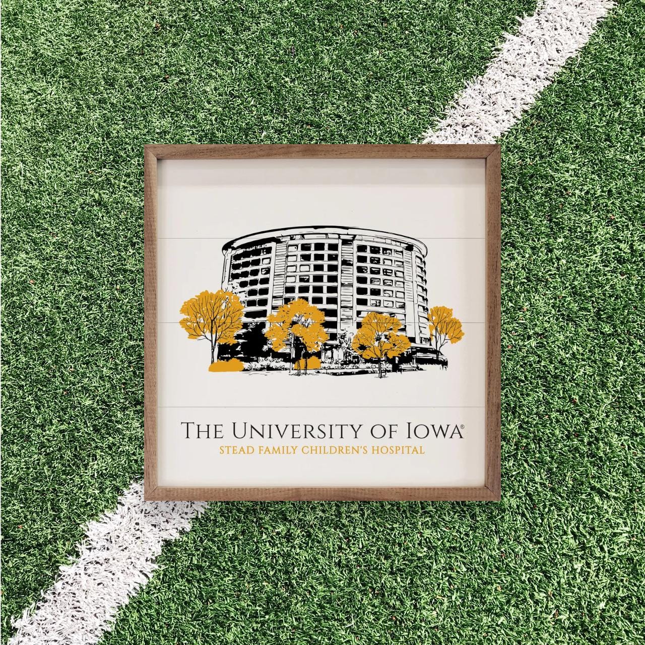 Iowa Hawkeyes Artwork | Iowa Hawkeyes Wall Art (Officially Licensed)Square