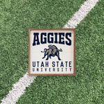 Load image into Gallery viewer, Utah State Aggies Artwork | Utah State Aggies Wall Art (Officially Licensed)Square
