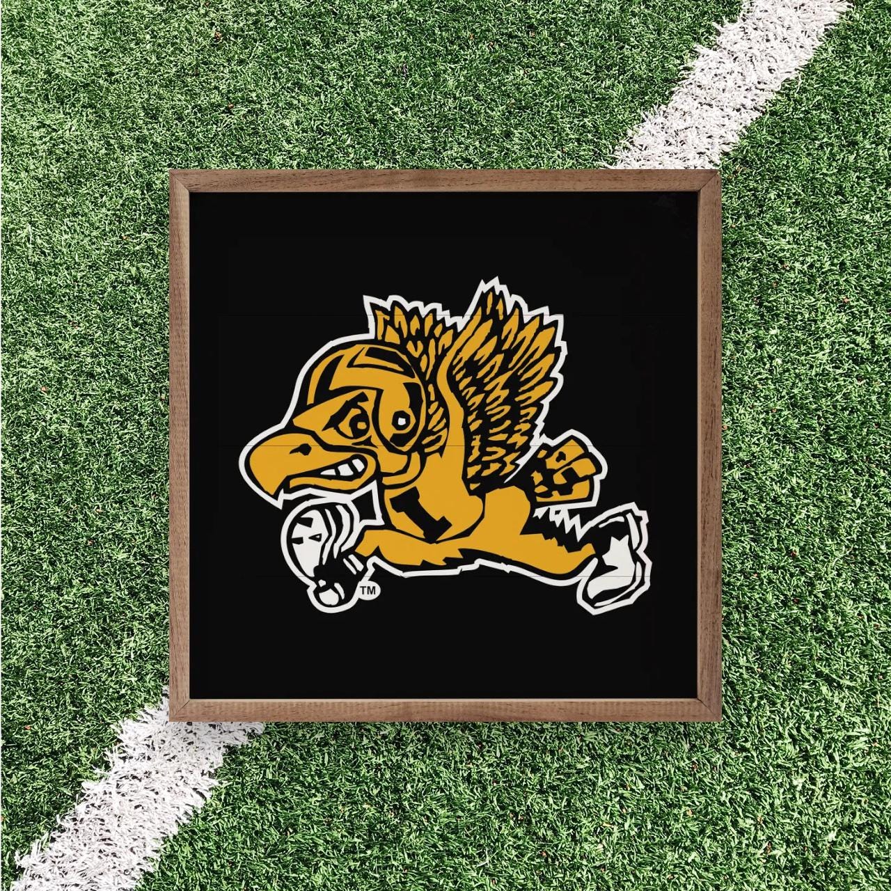 Iowa Hawkeyes Artwork | Iowa Hawkeyes Wall Art (Officially Licensed)Square