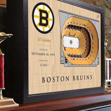 Boston Bruins 25 Layer Arena Art